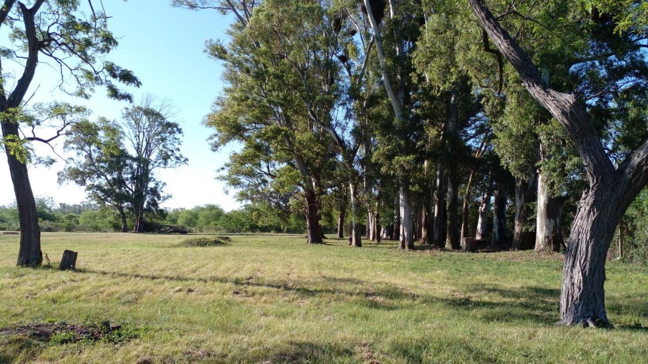 Los Arboles, casa completa a 5 minutos del Aeropuerto Ezeiza Exterior foto